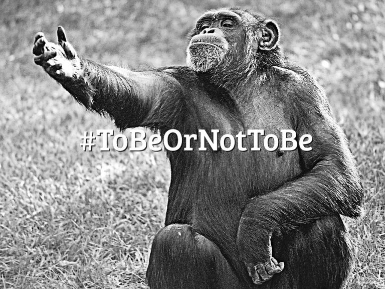 Το MΠI or NOT του MΠI …… ΣΩΤΗΡΗΣ ΒΑΖΕΛΟΣ