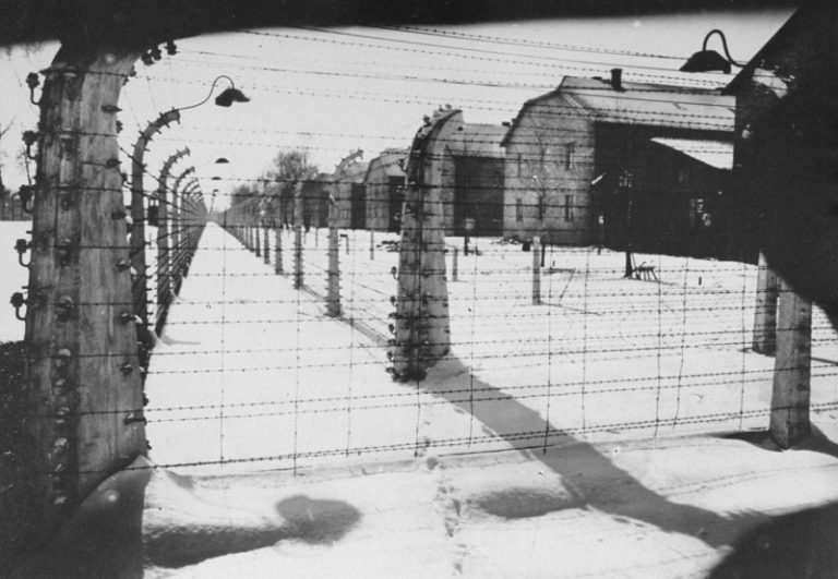 ΣΕΛΙΔΕΣ ΑΠΟ ΤΗΝ ΠΑΓΚΟΣΜΙΑ ΙΣΤΟΡΙΑ-Η απελευθέρωση του Άουσβιτς (27/01/1945)    Υπογραφή:ESR