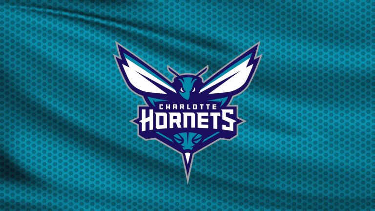 OI ΑΓΡΙΕΣ ΜΕΛΙΣΣΕΣ ΤΟΥ NBA- CHARLOTTE HORNETS | DRAZEN